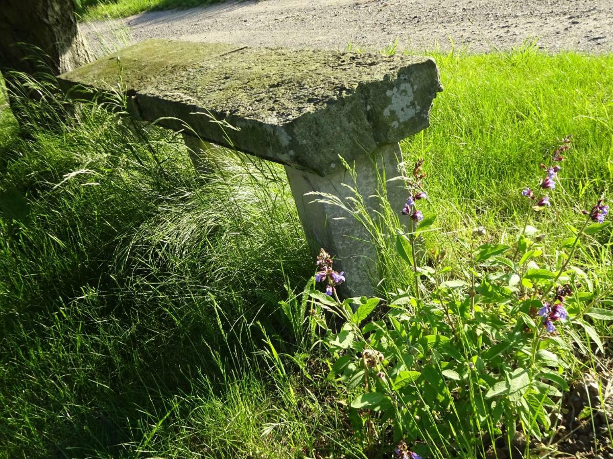 Alte Scheune Rietzschelhof Muglitztal Экстерьер фото