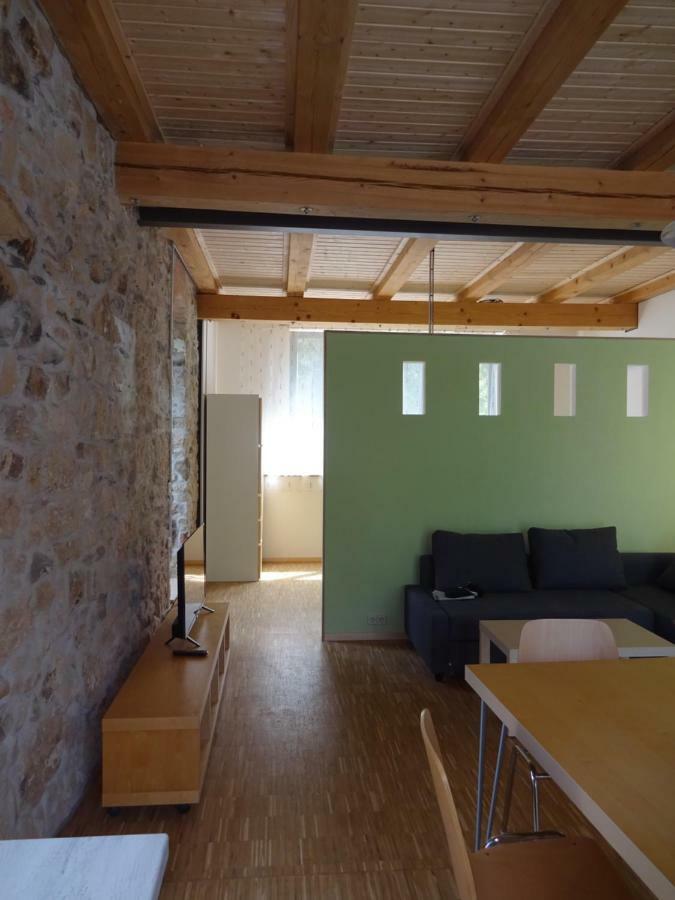 Alte Scheune Rietzschelhof Muglitztal Экстерьер фото